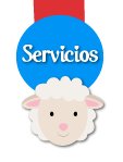 Servicios